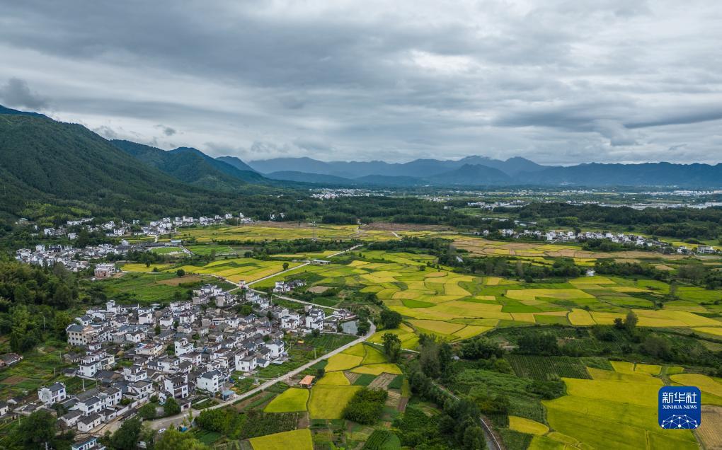 开元国际官网app安卓下载